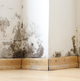 blog image intro - 1 blog image intro - 1