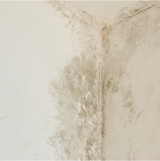 blog image intro - 1 blog image intro - 1