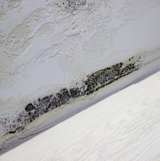 blog image intro - 1 blog image intro - 1