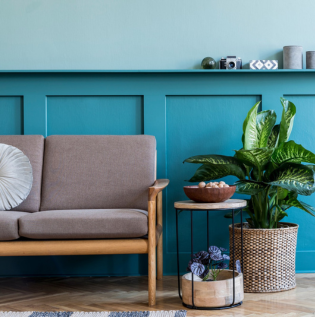 a décor idea for a plant lover a décor idea for a plant lover