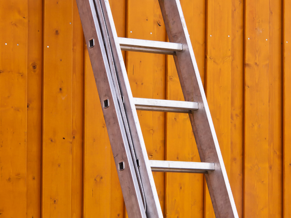 A Sturdy Ladder Used For Painting - Asian Paints