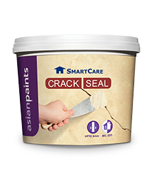 SmartCare Crack Seal