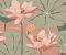 wallpaper-close-shot-asian-paints-W172XM27N75 wallpaper-close-shot-asian-paints-W172XM27N75