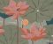 wallpaper-close-shot-asian-paints-W172XM28N75 wallpaper-close-shot-asian-paints-W172XM28N75