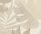 wallpaper-close-shot-asian-paints-31602 wallpaper-close-shot-asian-paints-31602