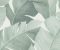 wallpaper-close-shot-asian-paints-31650 wallpaper-close-shot-asian-paints-31650