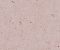 wallpaper-close-shot-asian-paints-384522 wallpaper-close-shot-asian-paints-384522