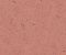 wallpaper-close-shot-asian-paints-384524 wallpaper-close-shot-asian-paints-384524