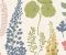 wallpaper-close-shot-asian-paints-384532 wallpaper-close-shot-asian-paints-384532