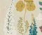 wallpaper-close-shot-asian-paints-384533 wallpaper-close-shot-asian-paints-384533
