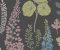 wallpaper-close-shot-asian-paints-384535 wallpaper-close-shot-asian-paints-384535