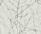 wallpaper-close-shot-asian-paints-81878 wallpaper-close-shot-asian-paints-81878