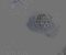 wallpaper-close-shot-asian-paints-DI0999_1x1 wallpaper-close-shot-asian-paints-DI0999_1x1