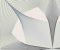 wallpaper-close-shot-asian-paints-FD25524 wallpaper-close-shot-asian-paints-FD25524