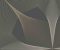 wallpaper-close-shot-asian-paints-FD25525 wallpaper-close-shot-asian-paints-FD25525