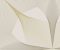 wallpaper-close-shot-asian-paints-FD25527 wallpaper-close-shot-asian-paints-FD25527