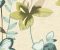 wallpaper-close-shot-asian-paints-WT4544 wallpaper-close-shot-asian-paints-WT4544