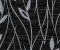 wallpaper-close-shot-asian-paints-Y6200803 wallpaper-close-shot-asian-paints-Y6200803