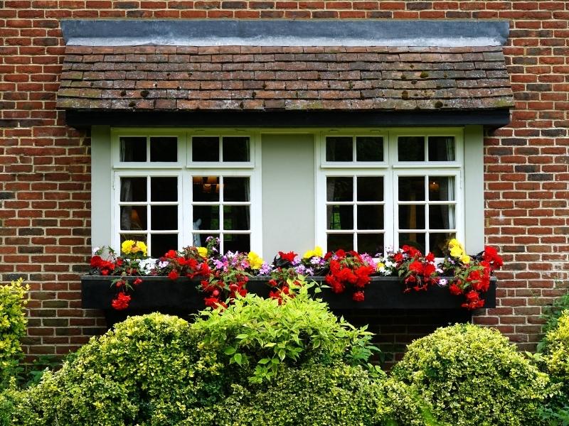 Small courtyard wall design with beautiful floral arrangement - Beautiful Homes Small courtyard wall design with beautiful floral arrangement - Beautiful Homes