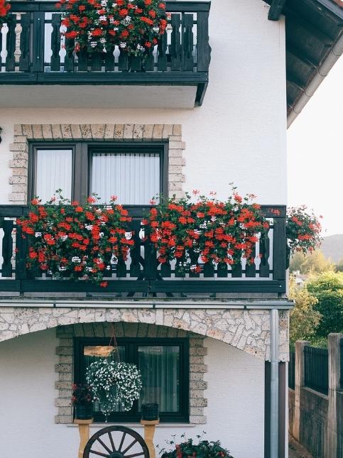 Nature themed small mini courtyard design with pretty orange flowers - Beautiful Homes Nature themed small mini courtyard design with pretty orange flowers - Beautiful Homes