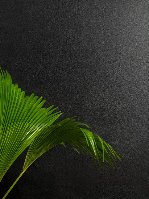 Royale Play Plateau Black Texture for your home– Beautiful Homes Royale Play Plateau Black Texture for your home– Beautiful Homes