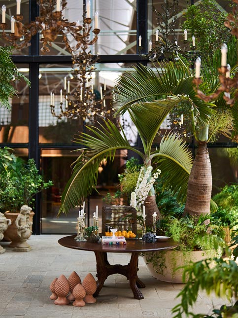 Curated indoor outdoor plants – Beautiful Homes Curated indoor outdoor plants – Beautiful Homes