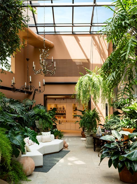 Glass roof plant haven – Beautiful Homes Glass roof plant haven – Beautiful Homes