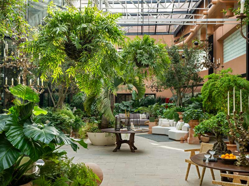 Orangery plants of variety – Beautiful Homes Orangery plants of variety – Beautiful Homes