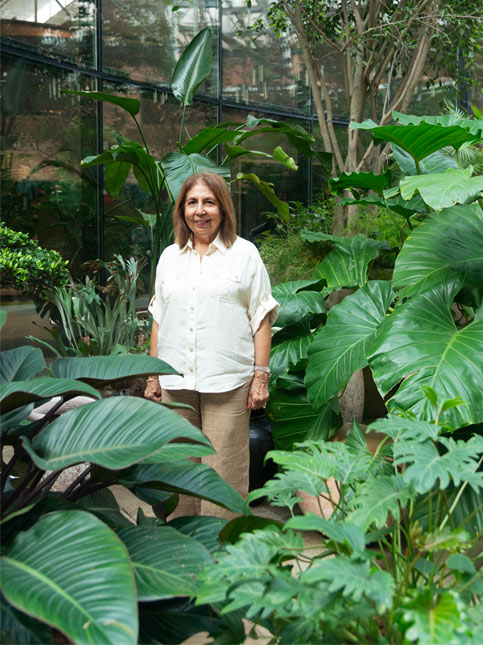 Taera Chowna - Beautiful Homes Taera Chowna - Beautiful Homes