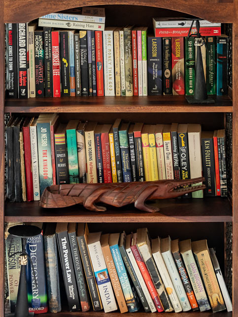 Amrita’s books are interspersed with a few select art and décor pieces – Beautiful Homes Amrita’s books are interspersed with a few select art and décor pieces – Beautiful Homes