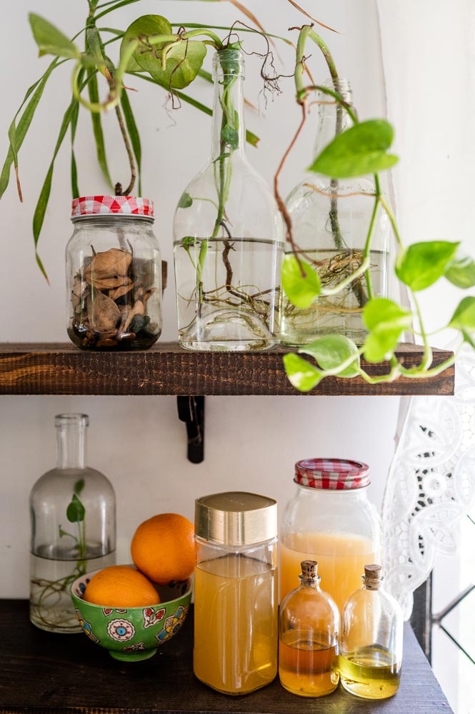 Bottles of home made detergents placed on a wooden shelf