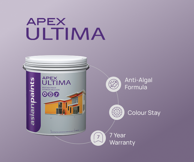Apex Ultima