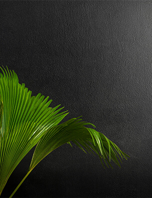 Plateau Black