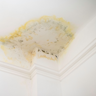 Inside Wall Damp - 1