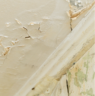 Inside-ceiling-Damp-1