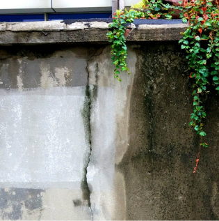 Outside Wall Damp - 1