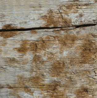 applying wooden paint on a furniture