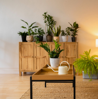 an interior décor idea for a bold personality