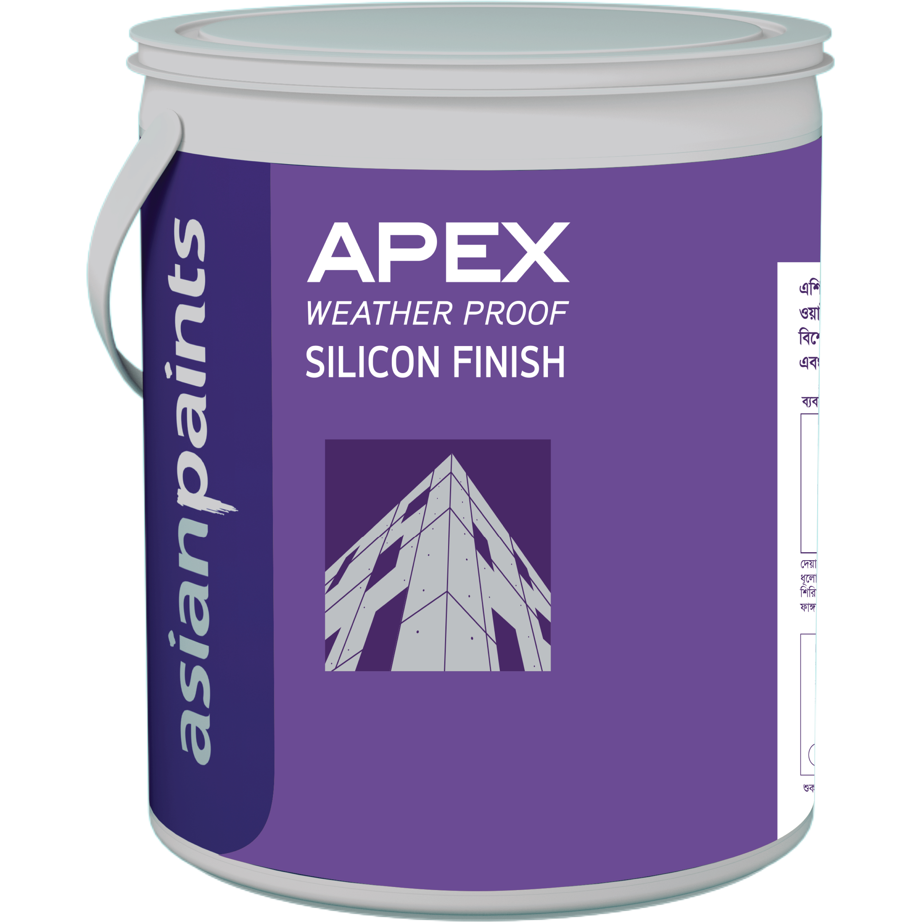 Apex Weather Proof Exterior Emulsion - Silicon Finish