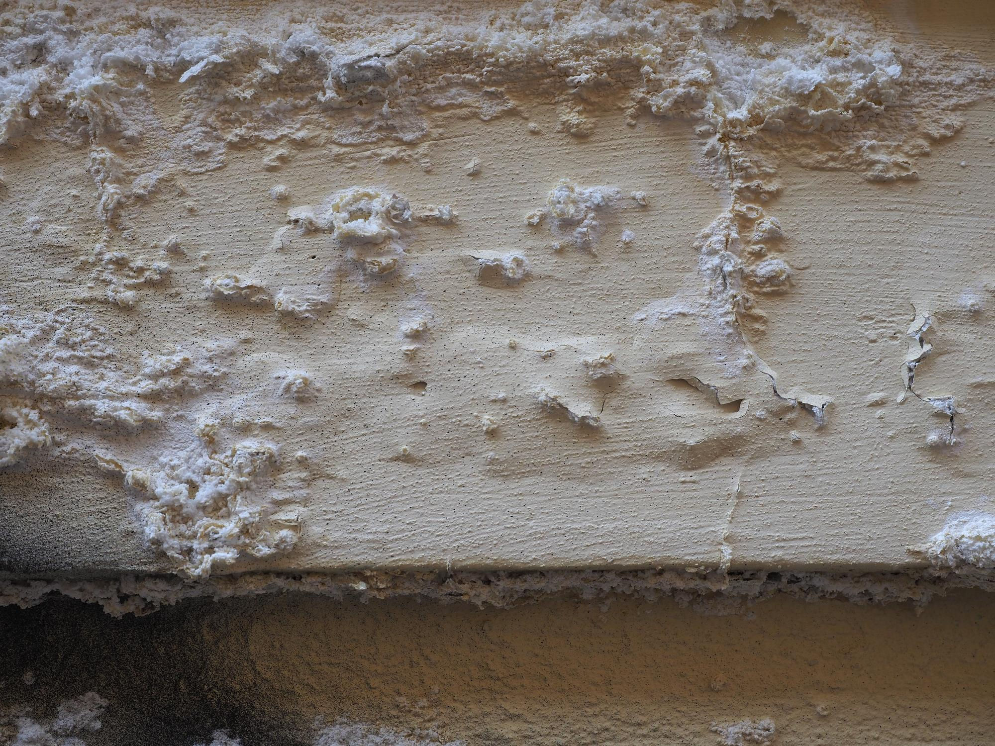 Finding the Right System for the Salt (Efflorescence) Menace in Nepal Homes 