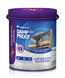 Damp Proof Silicon Ceramic Asian Paints Causeway
