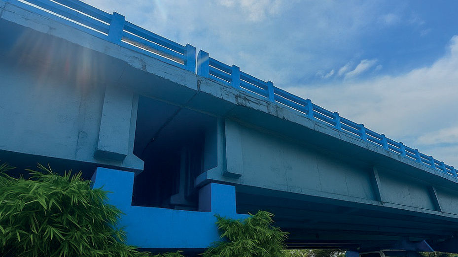 Madurai Vaigai Bridge