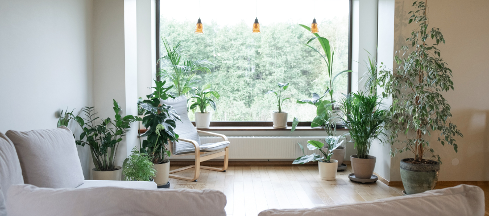 Asian Paints | Selecting the Perfect Paint Guide - 16