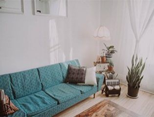 Vintage Style Sofa Design - Asian Paints