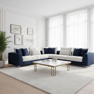 Navy Blue and White Sofa Combination