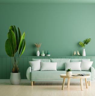 Forest Green Coloured Living Room - Asian Paints