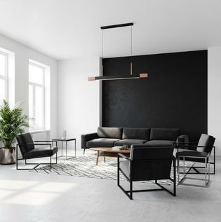 Timeless Black and White Living Room Design