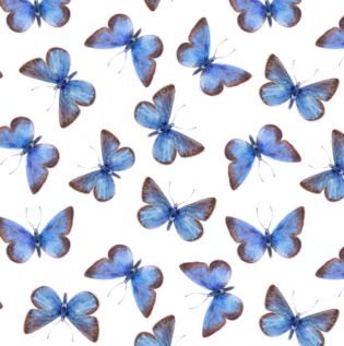 Butterfly Bedroom Wall Stencil - Asian Paints