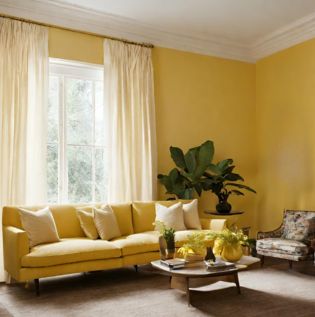 White Curtains with Yellow Walls - Asian Paints