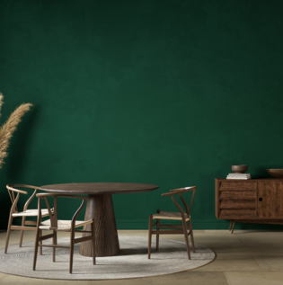 Dark Green Coloured Living Room - Asian Paints